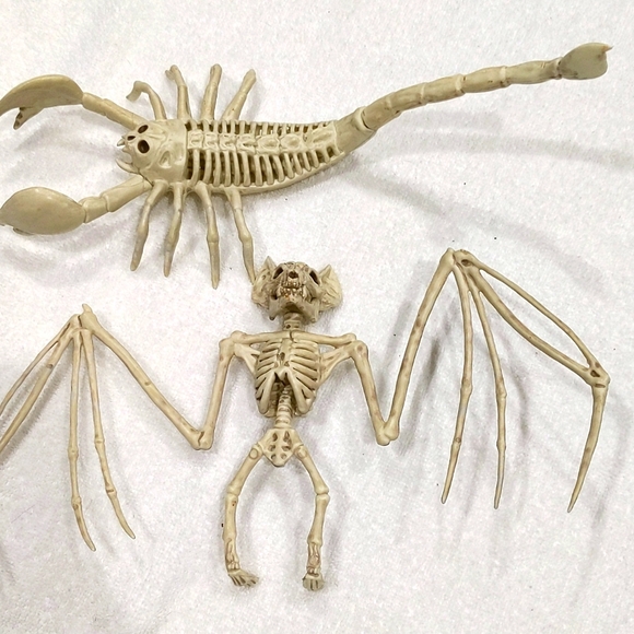 Set of plastic scorpion and bat skeletons. Creepy but awesome! Halloween 🎃 - Picture 6 of 6